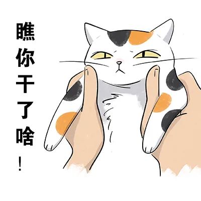 DƬ